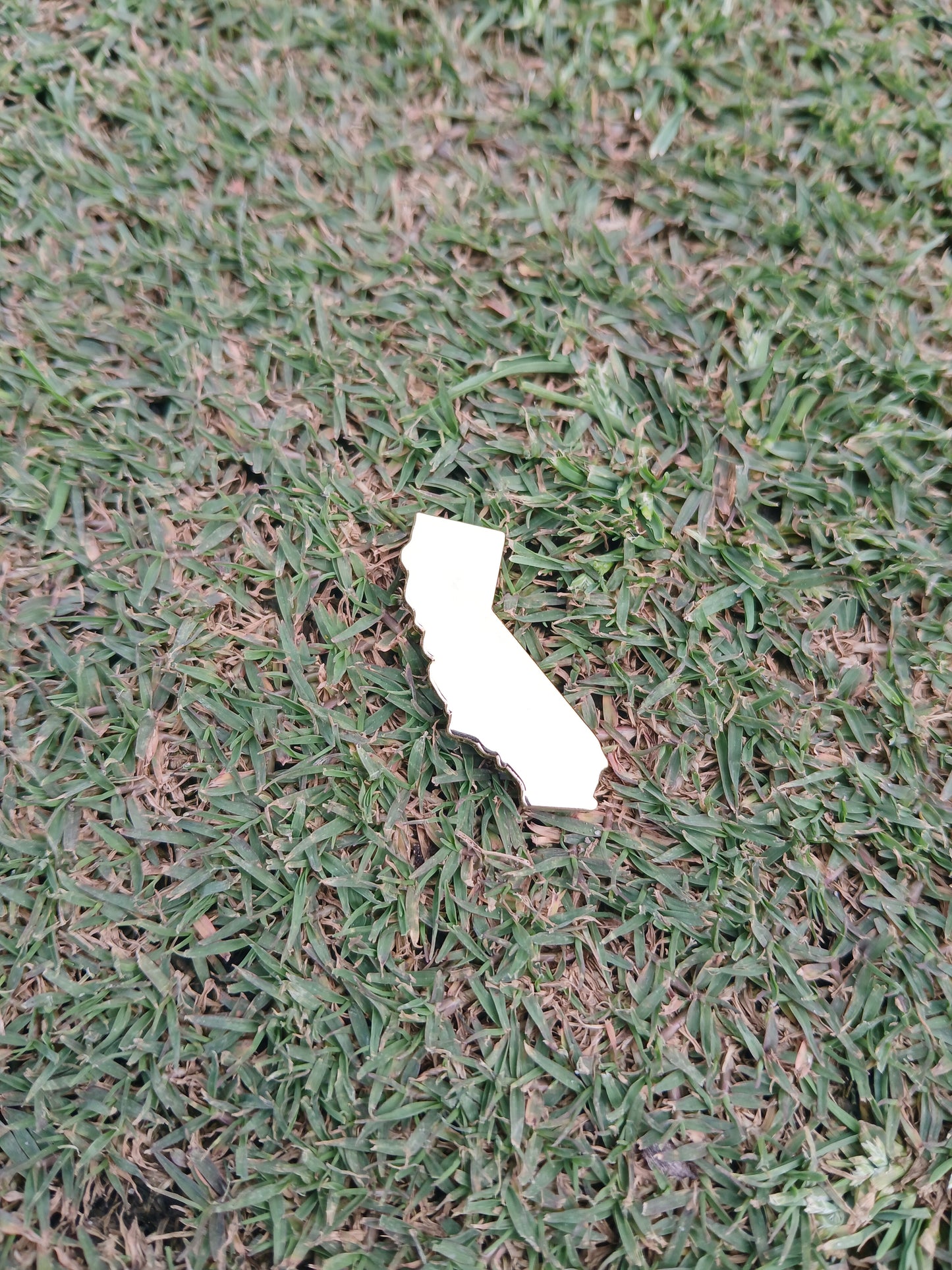 California Ball Marker