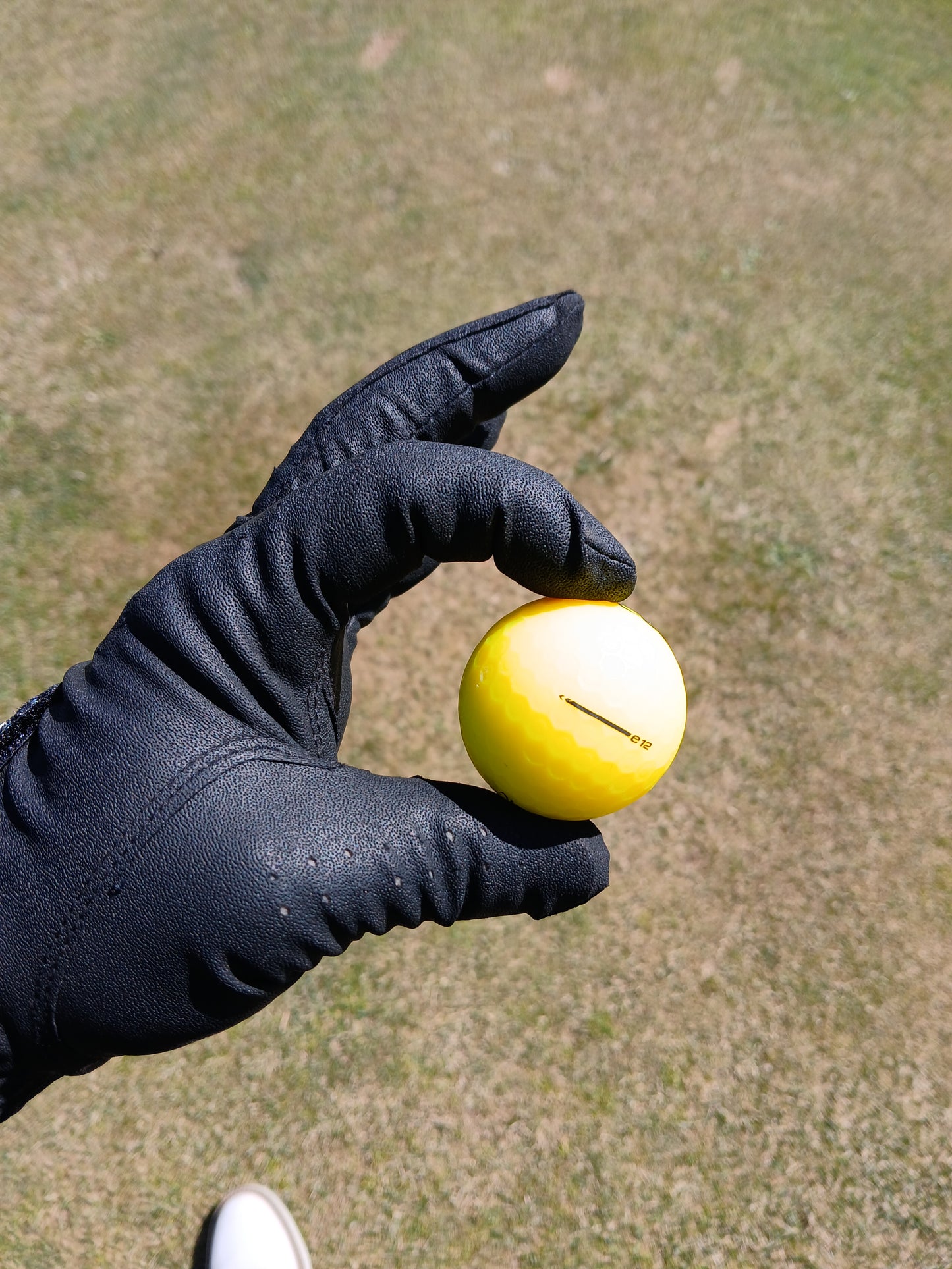 "Sticky Fingers" Glove - Black