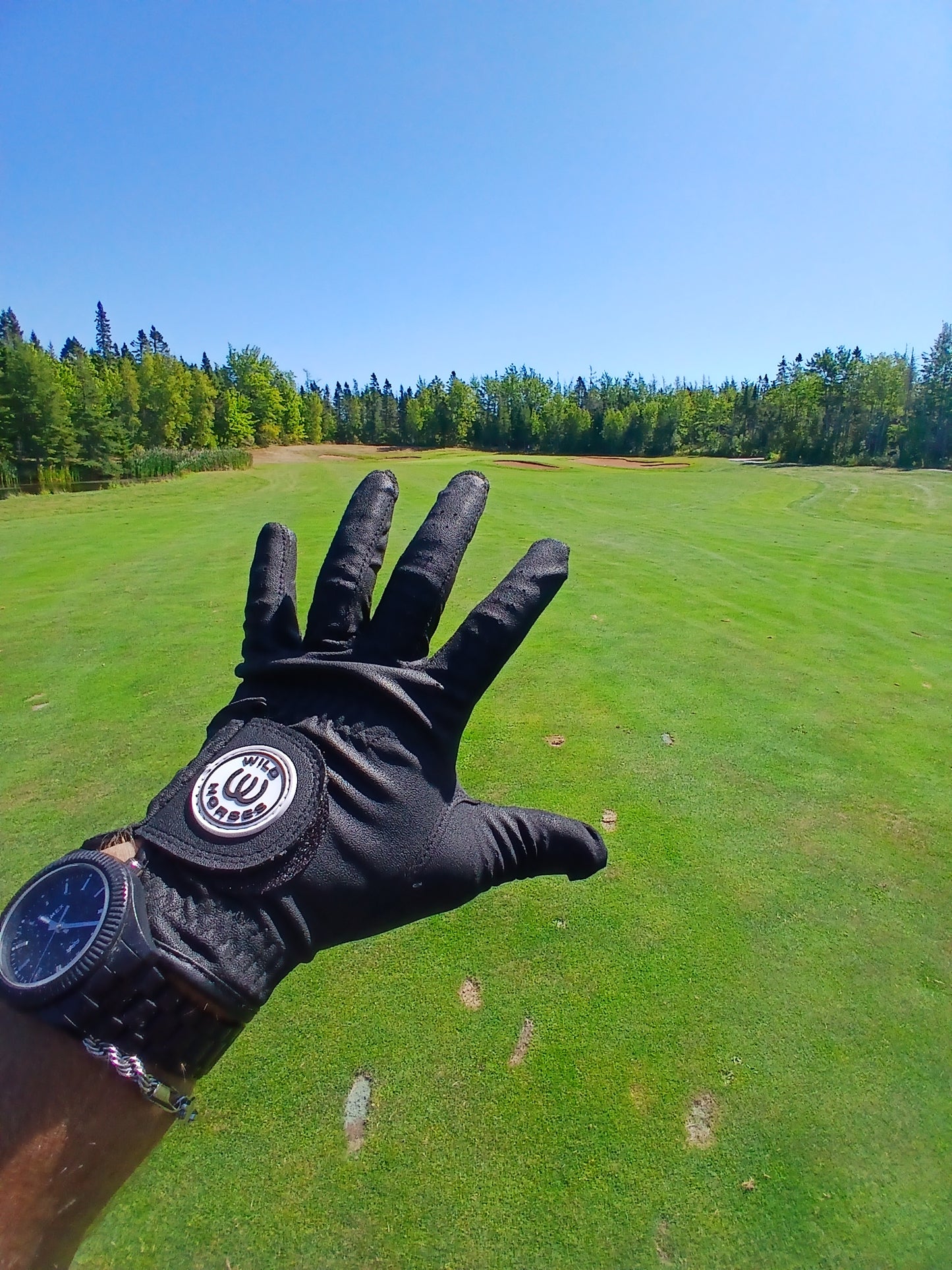 "Sticky Fingers" Glove - Black