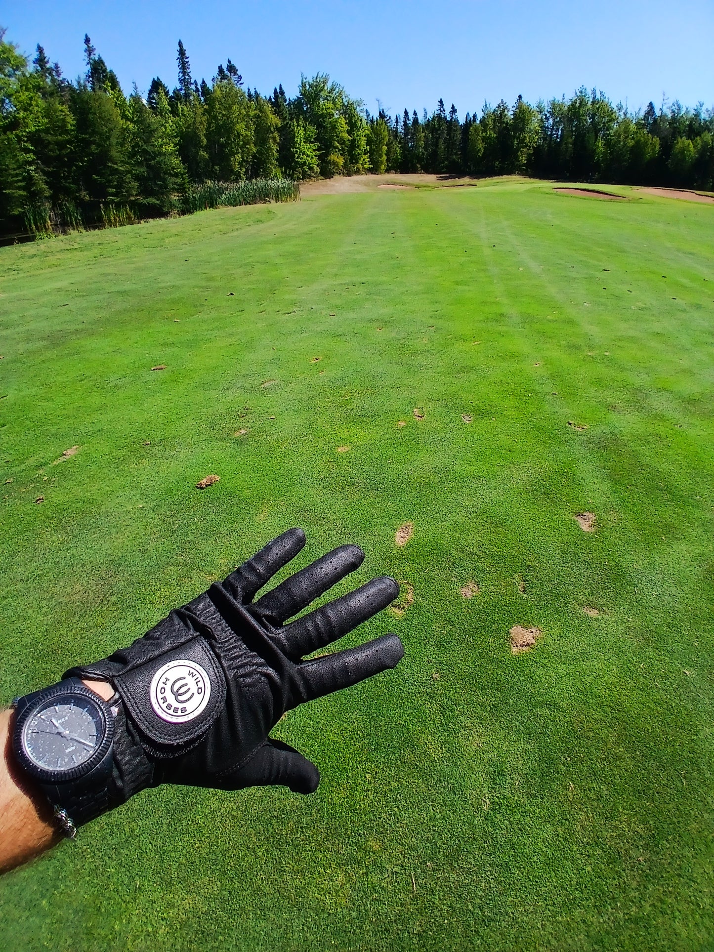 "Sticky Fingers" Glove - Black