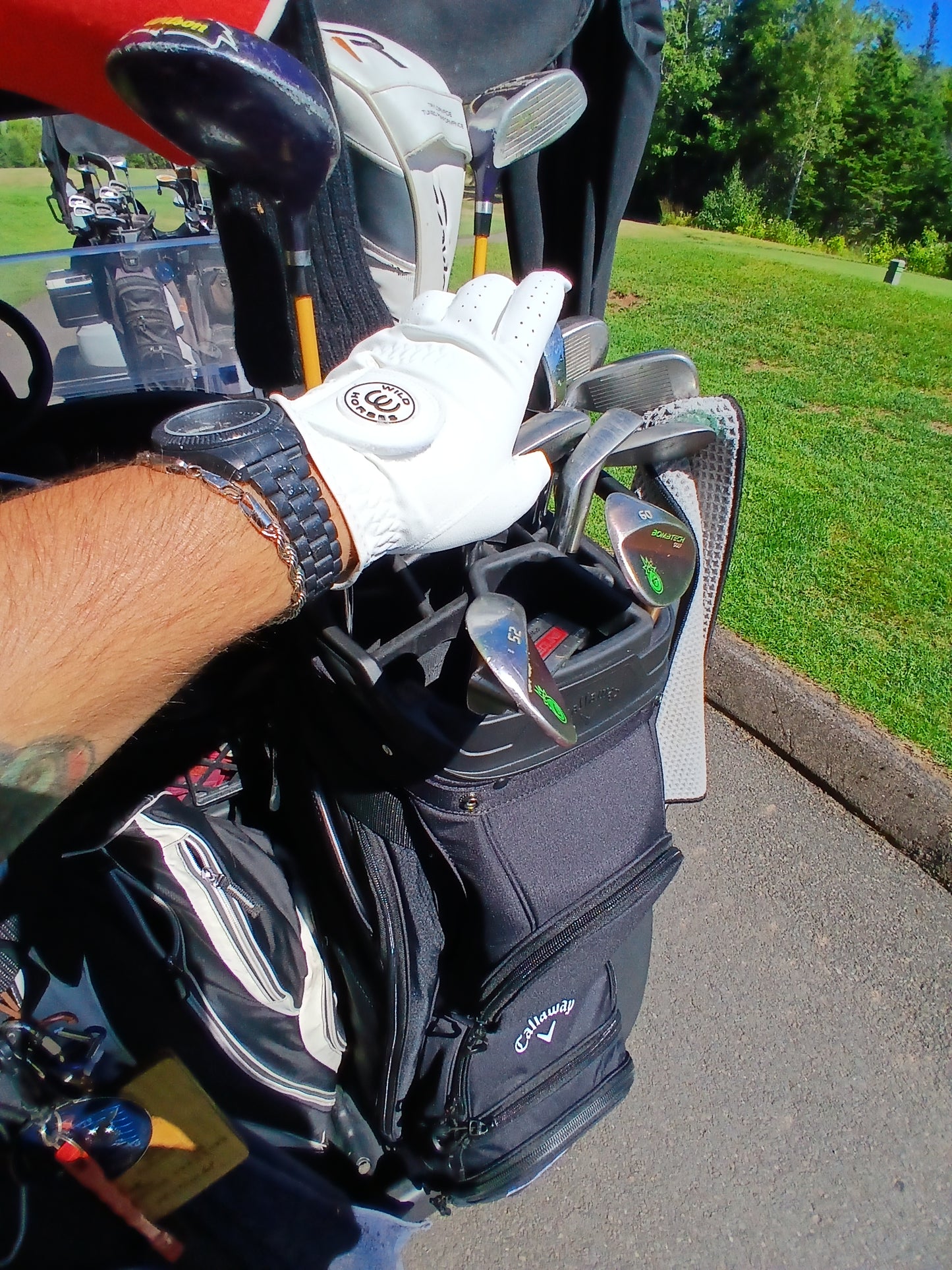 "Sticky Fingers" Glove - White