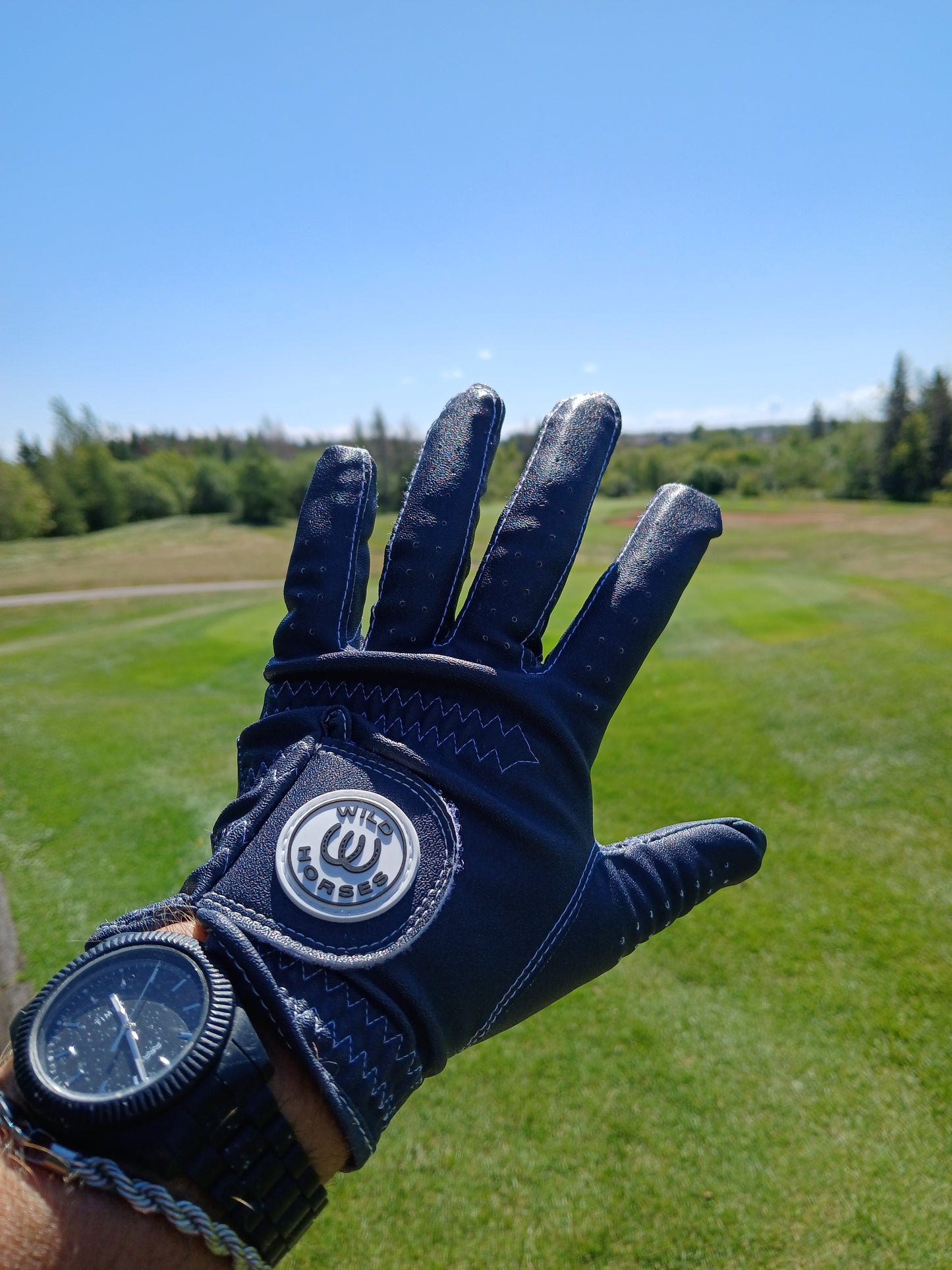 "Sticky Fingers" Glove - Navy